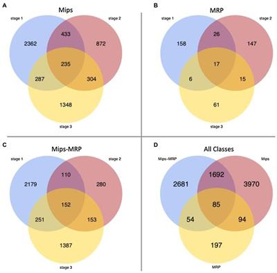 Network Inference of Transcriptional Regulation in Germinating Low Phytic Acid Soybean Seeds